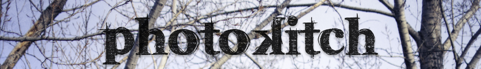 My Blog logo